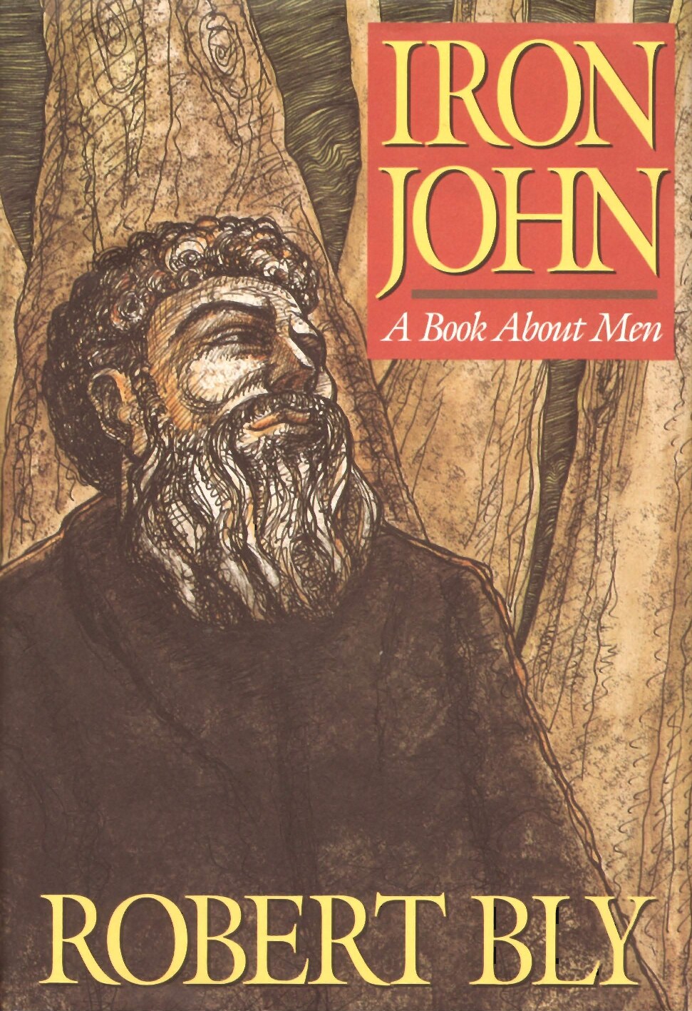 Iron John: A Book About Men